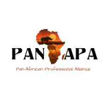 Appointed 2023-24 PAN-African Professional Alliance IT Officer